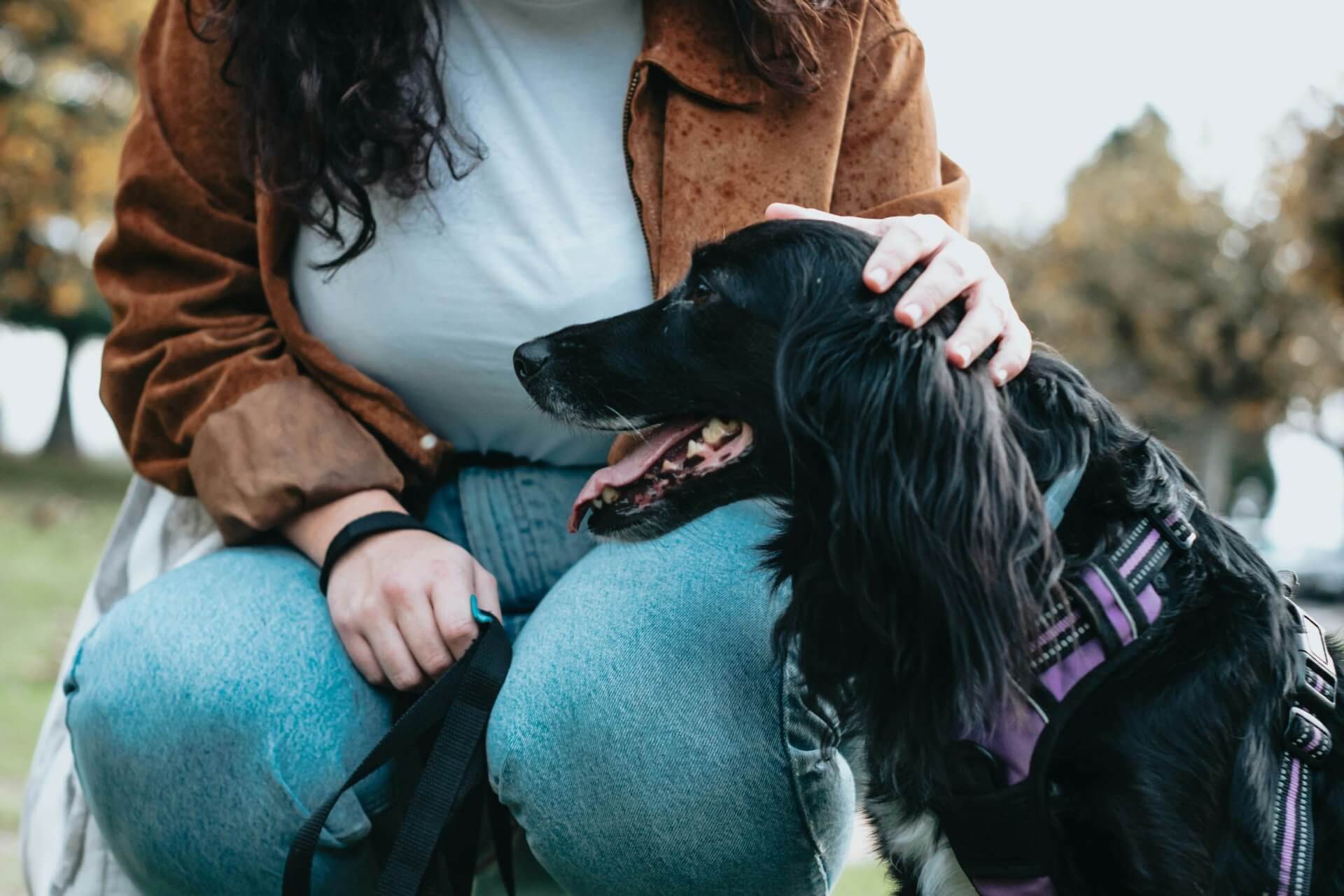 317d07e44e8dc72d7ad00d93f8410009